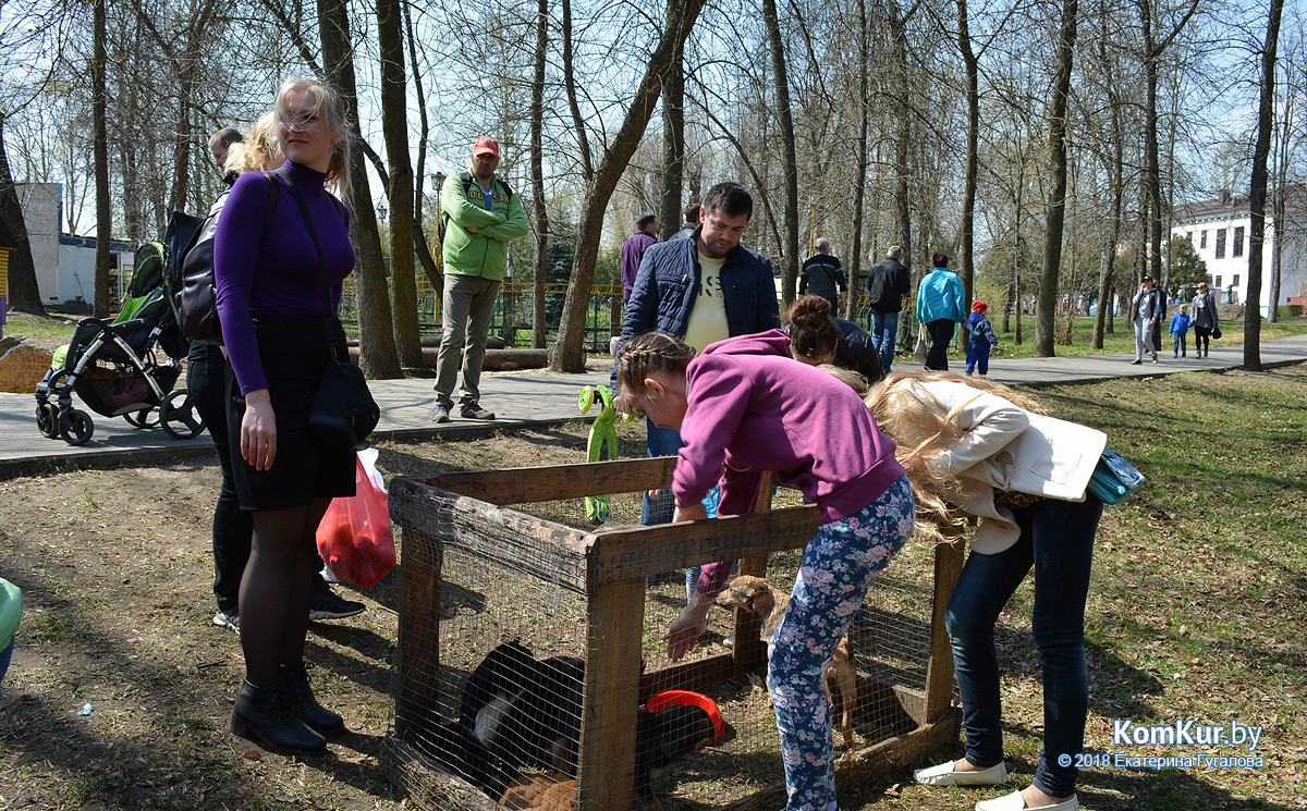 В Бобруйске открылся парковый сезон!