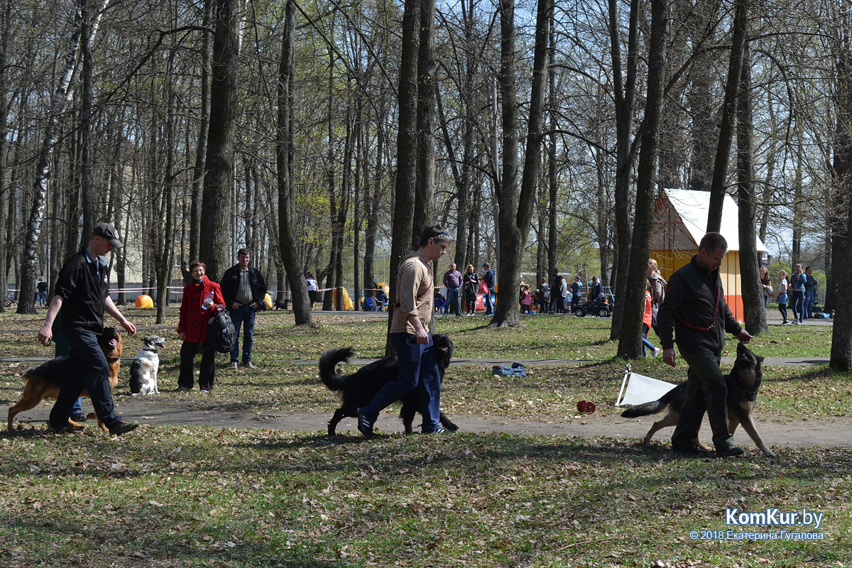В Бобруйске открылся парковый сезон!