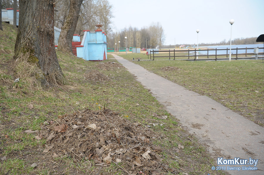 Бобруйские пляжи после зимы