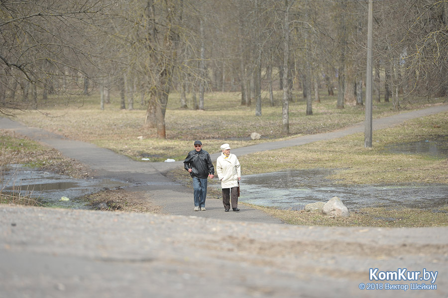 Бобруйские пляжи после зимы