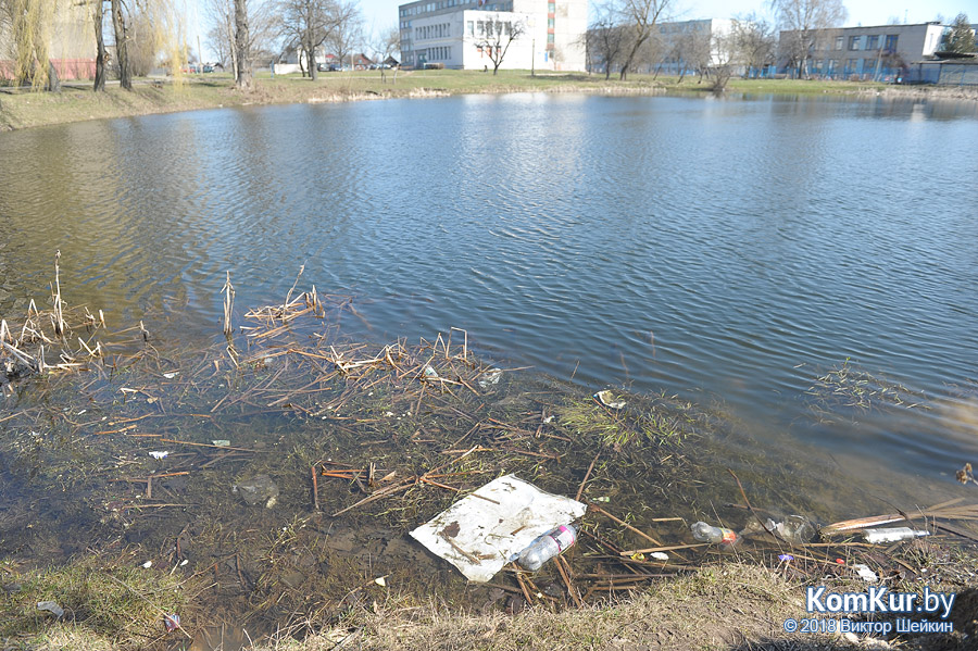 Бобруйские пляжи после зимы