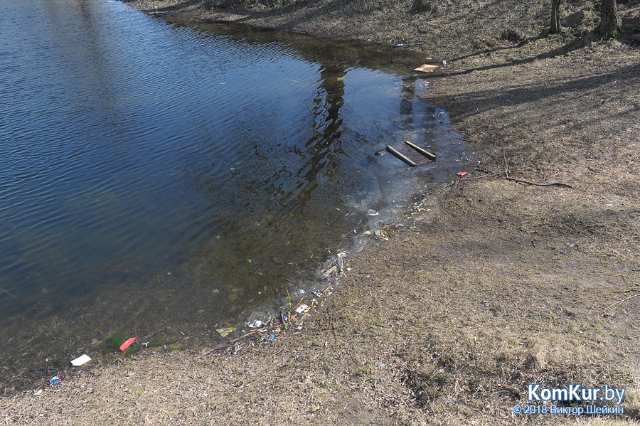 Бобруйские пляжи после зимы