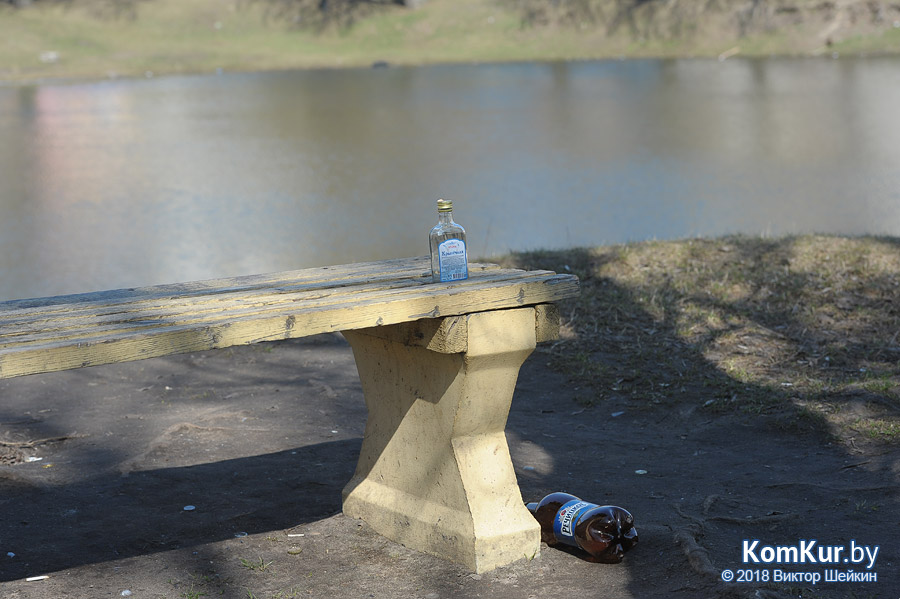 Бобруйские пляжи после зимы