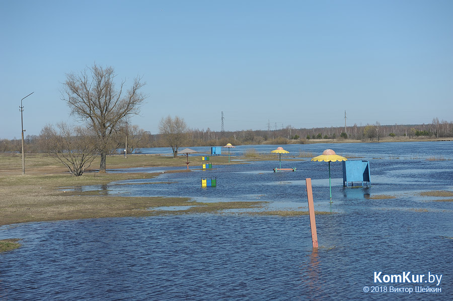 Бобруйские пляжи после зимы