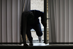 Попасть в пасть: в Бобруйске поймали квартирного вора