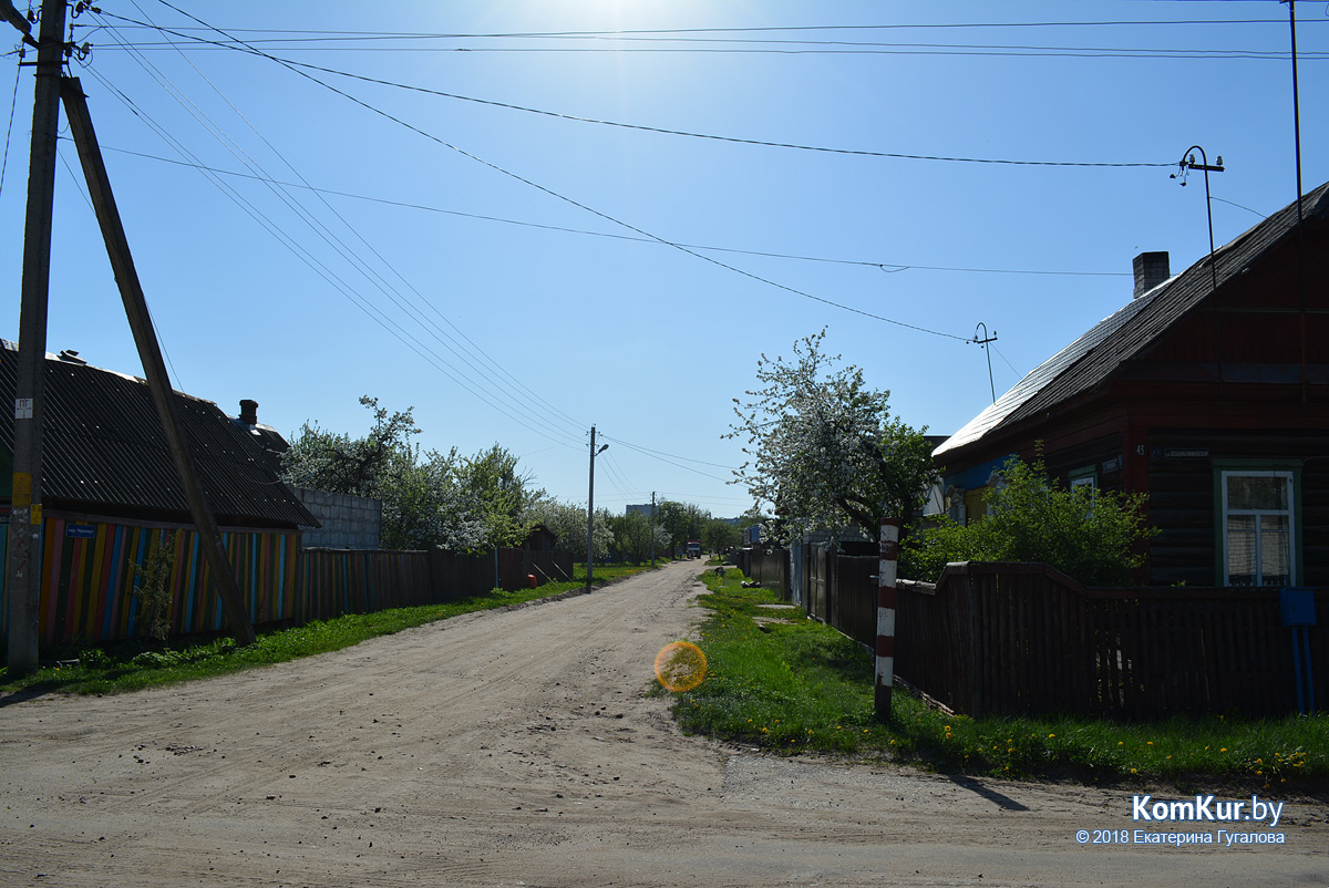 Деревня в центре Бобруйска