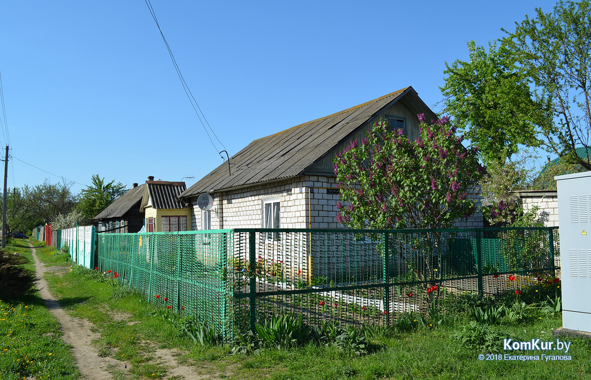 Деревня в центре Бобруйска