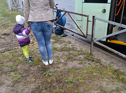 ДТП с коляской в Бобруйске: что рассказала мама