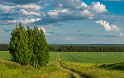 Май 2018 года стал самым теплым за всю историю метеонаблюдений в Беларуси