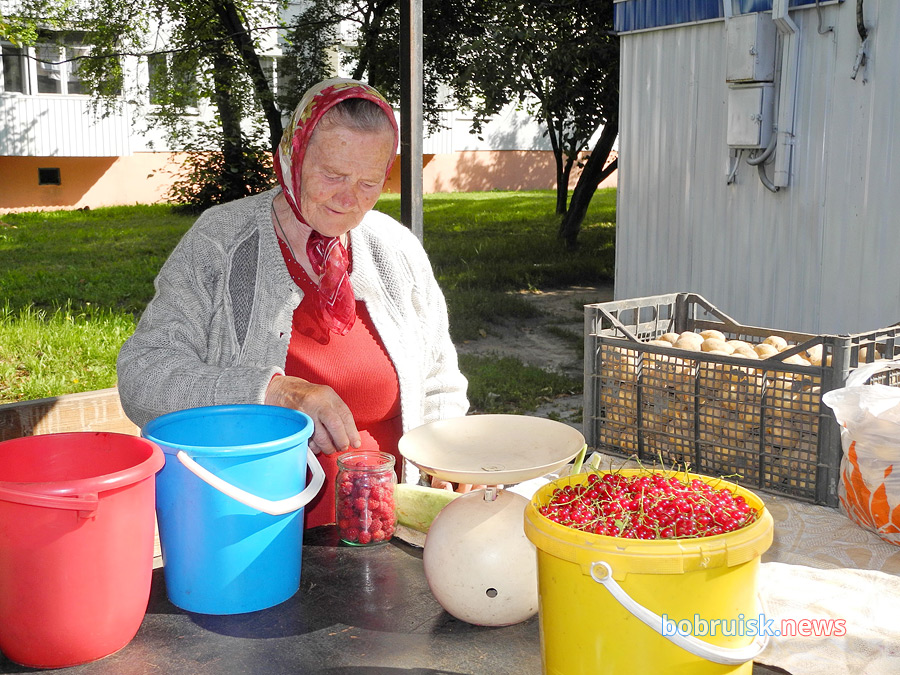 Мы посмотрели цены на бобруйских рынках