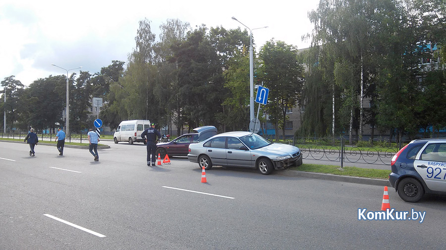 В Бобруйске под колеса попал бобер
