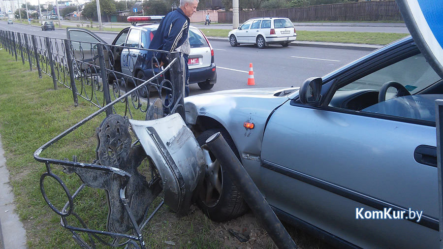 В Бобруйске под колеса попал бобер