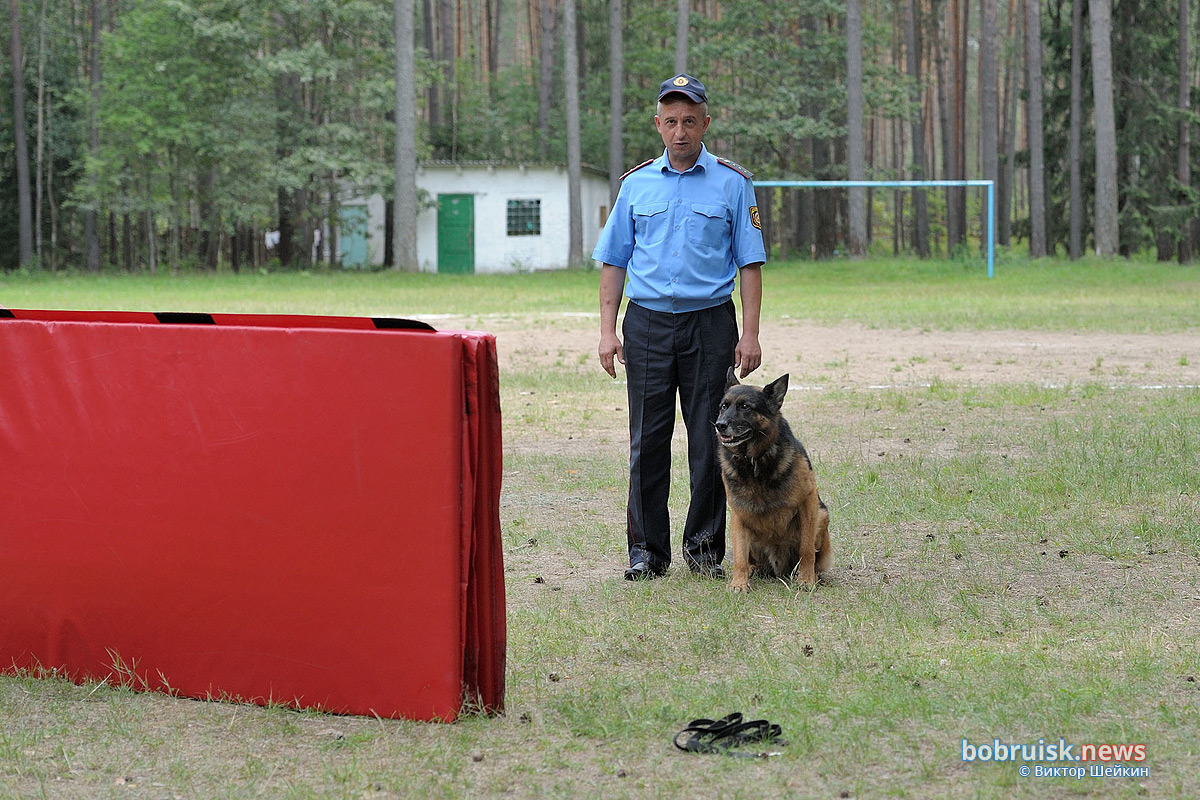 Зачем сотрудники Охраны выехали в лес
