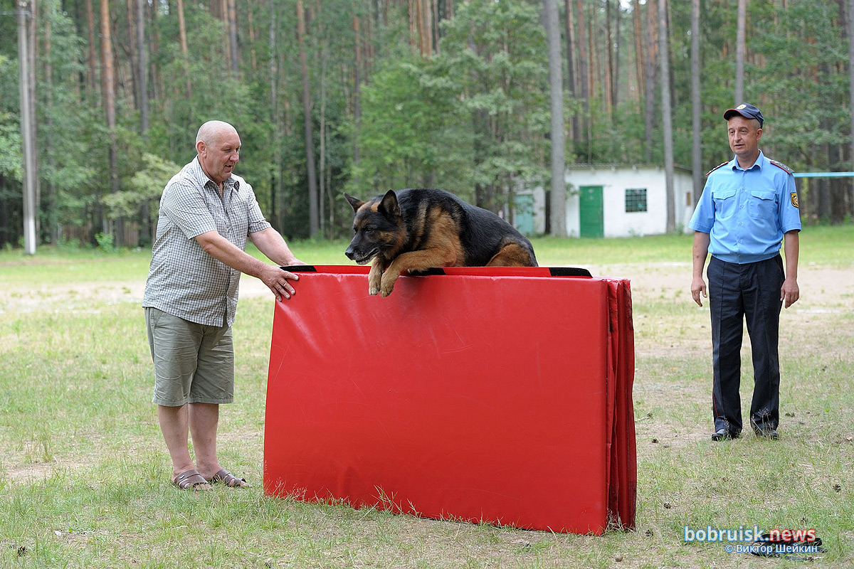 Зачем сотрудники Охраны выехали в лес