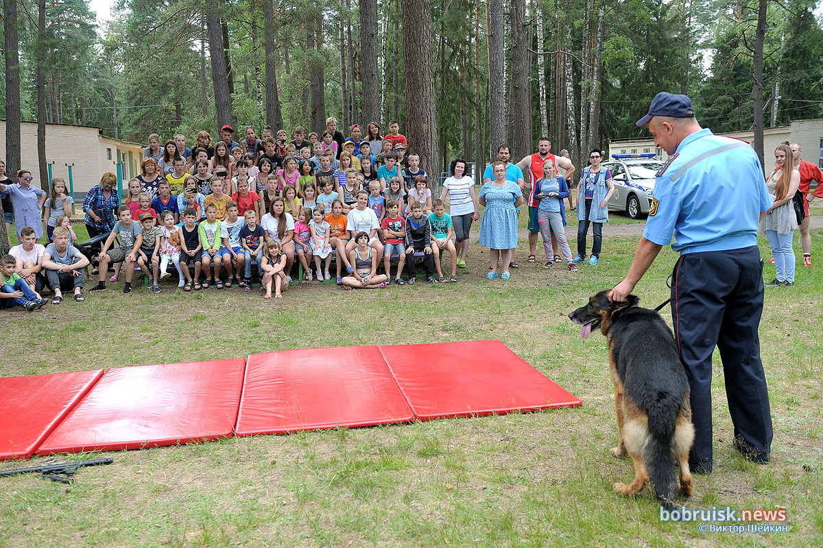 Зачем сотрудники Охраны выехали в лес