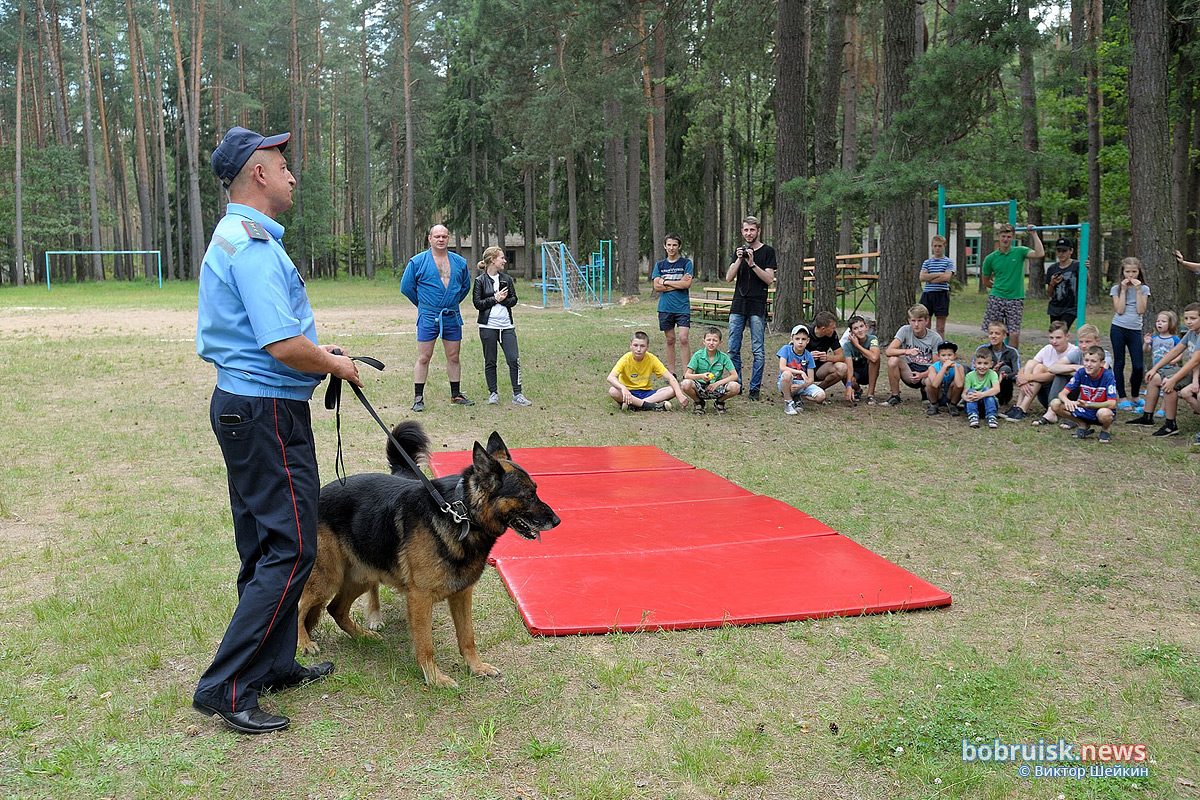 Зачем сотрудники Охраны выехали в лес