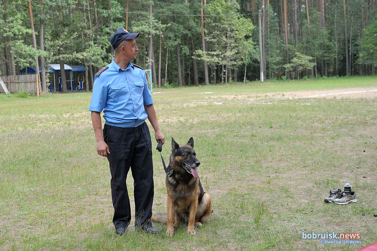 Зачем сотрудники Охраны выехали в лес