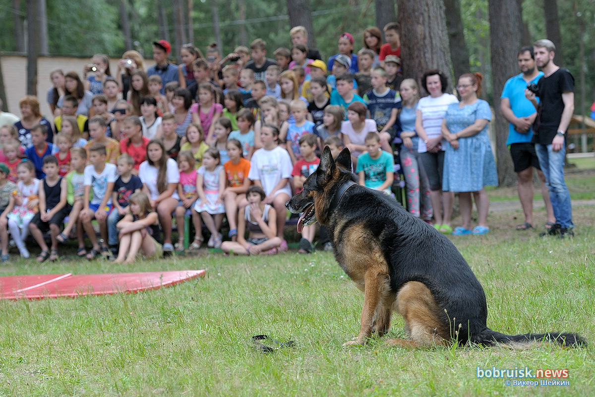 Зачем сотрудники Охраны выехали в лес
