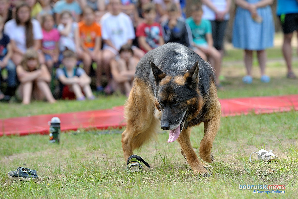Зачем сотрудники Охраны выехали в лес