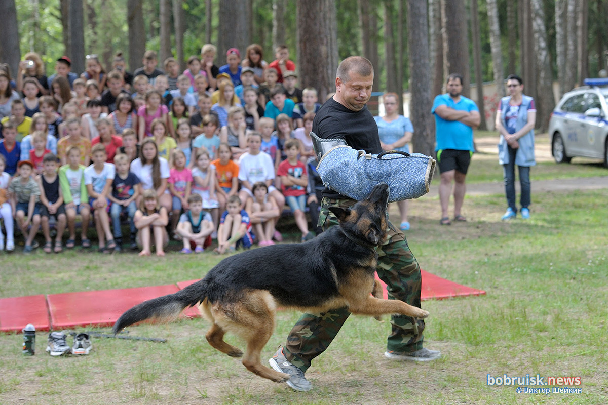 Зачем сотрудники Охраны выехали в лес