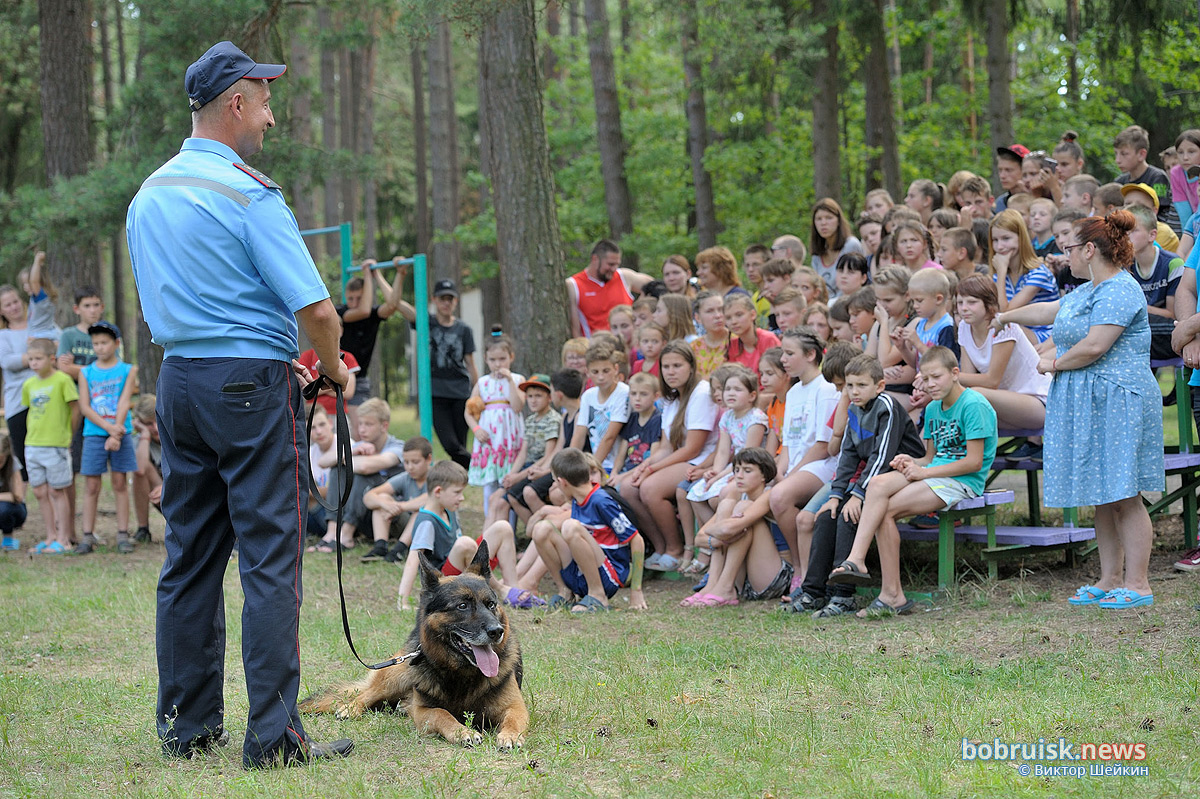 Зачем сотрудники Охраны выехали в лес