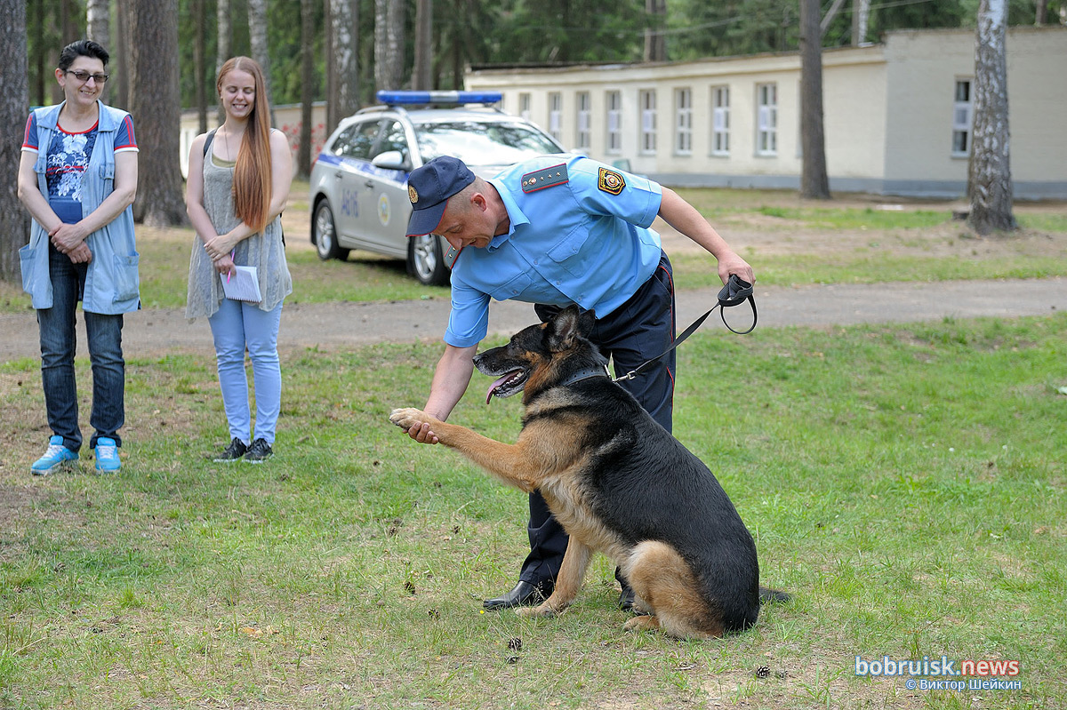 Зачем сотрудники Охраны выехали в лес