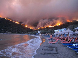 Лесные пожары в Греции: более 70 погибших (добавлено видео!)