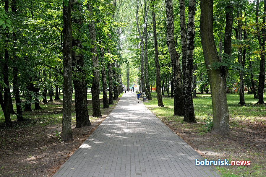 «Коммерческий на связи»: Страшно ходить через парк