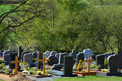 В Бобруйске появится новое кладбище