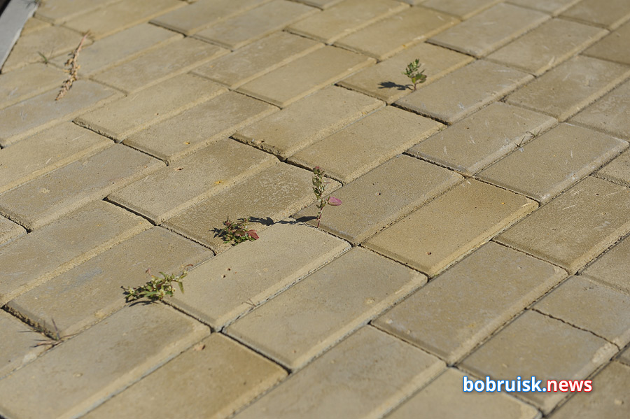 Площадка возле Дворца искусств в Бобруйске — ремонт заглох?