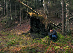 В лесу под Бобруйском четвертые сутки ищут пропавшего мужчину