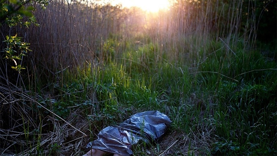 Лес смерти: еще один пропавший под Бобруйском найден мертвым