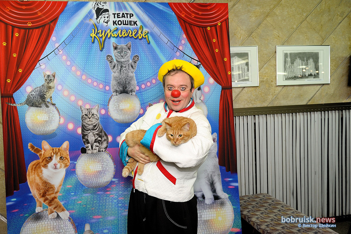 Театр кошек Куклачева в Бобруйске! Фоторепортаж