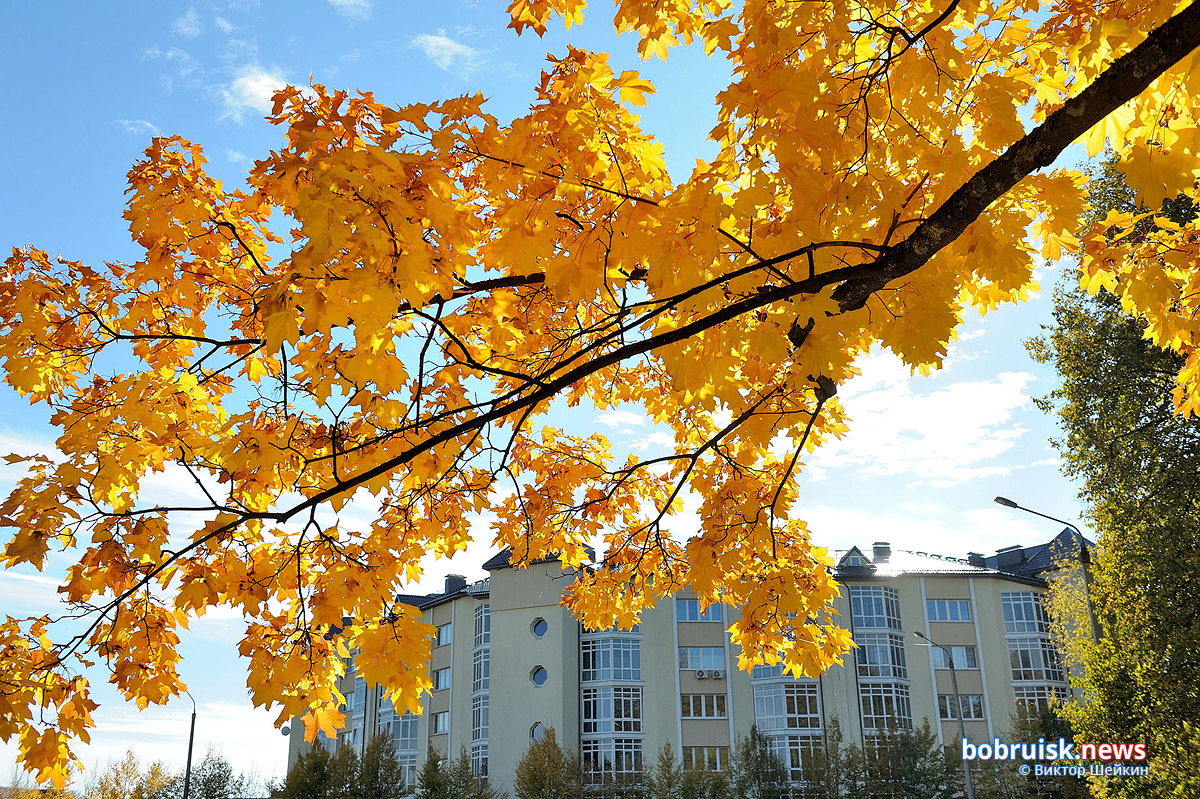Осень в Бобруйске