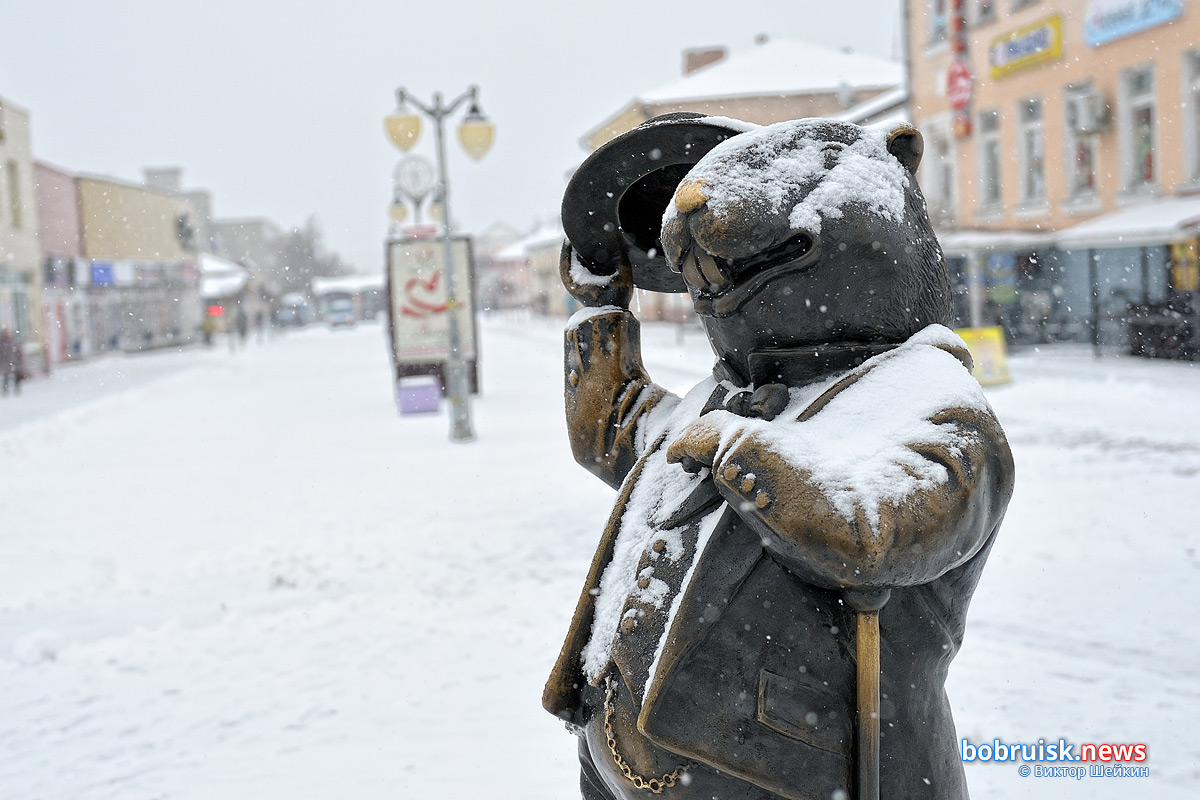 С первым снегом, Бобруйск!