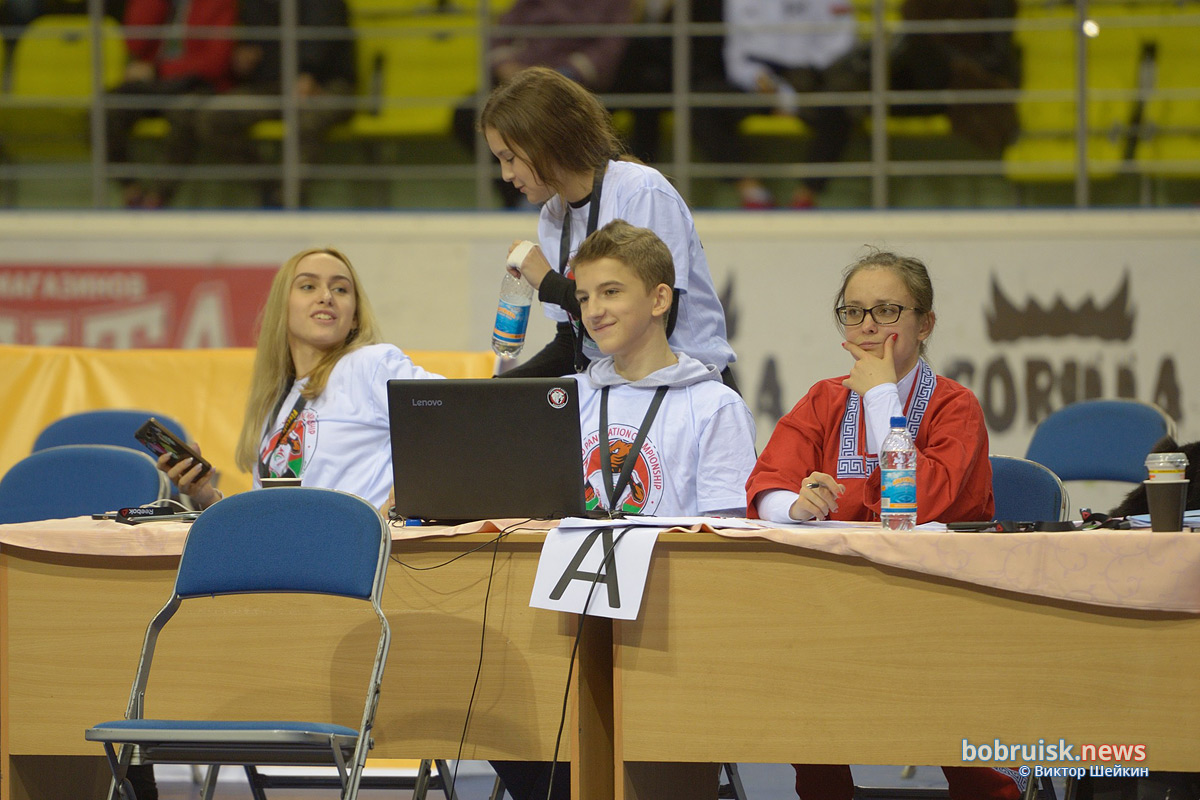 В Бобруйске прошел чемпионат мира по панкратиону. Фоторепортаж