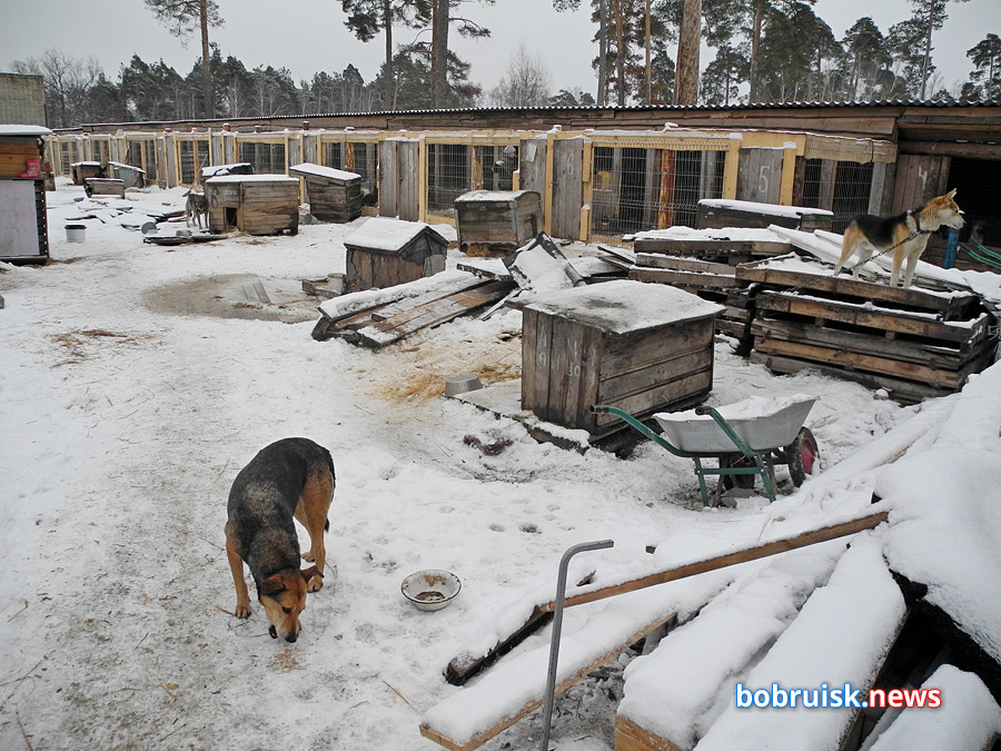 Добро для «Добродетели»