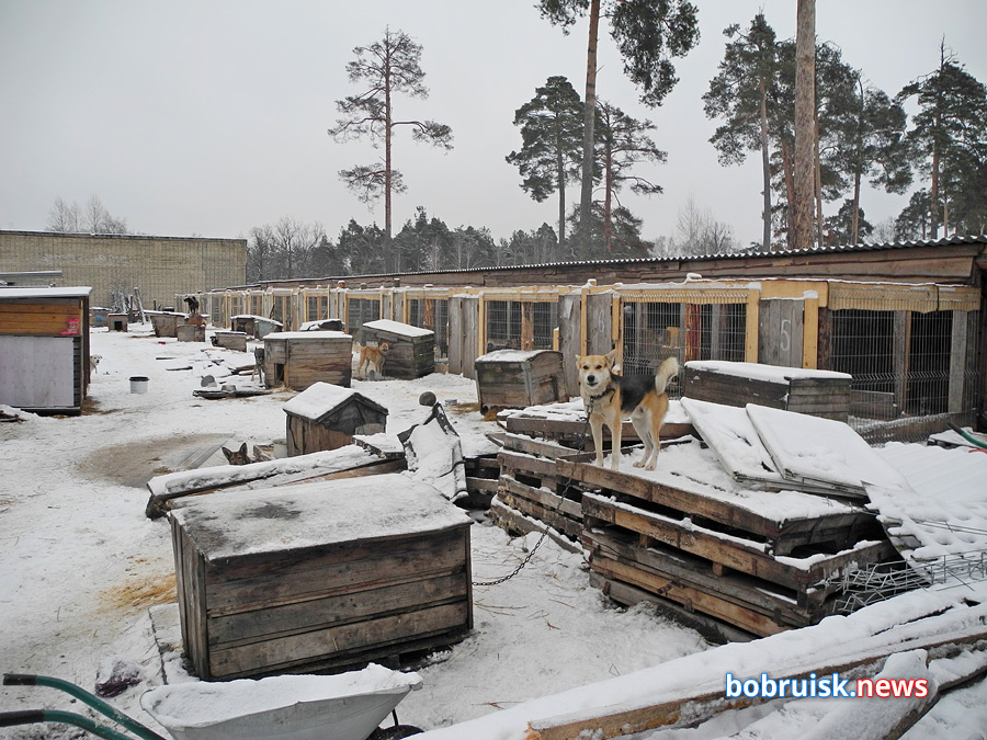 Добро для «Добродетели»