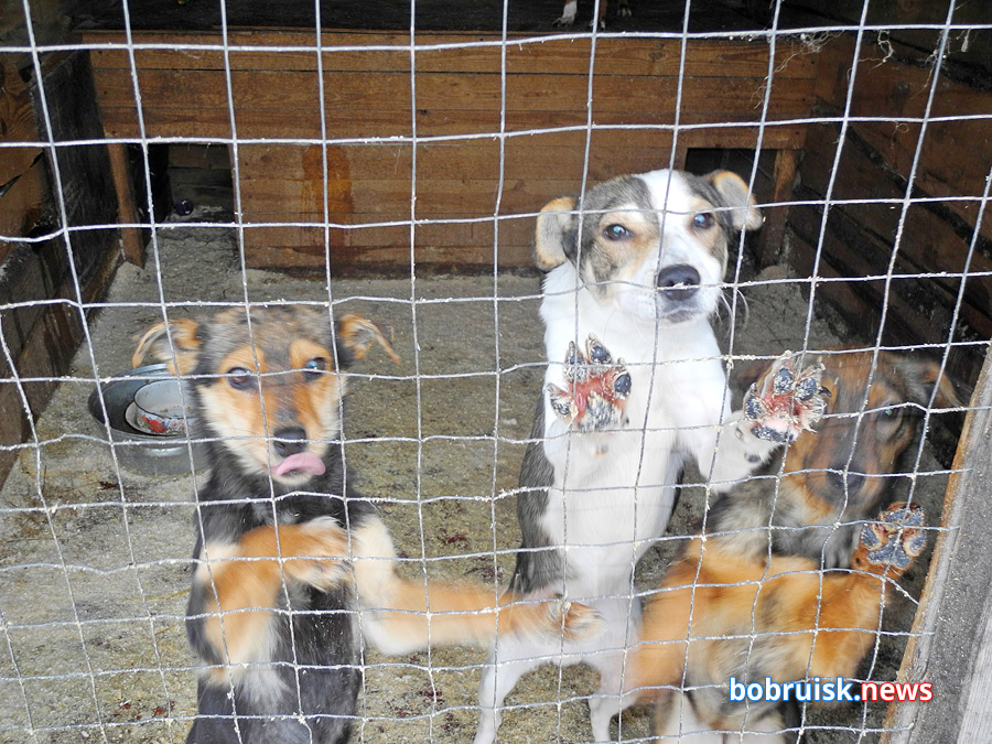 Добро для «Добродетели»