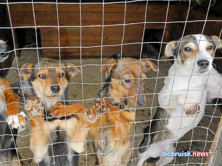 Добро для «Добродетели»