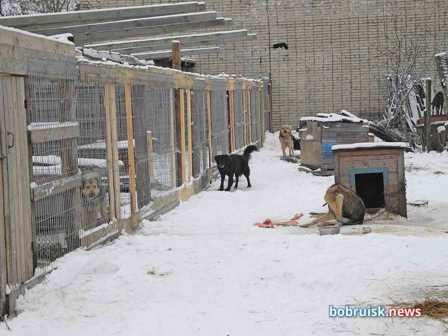 Добро для «Добродетели»