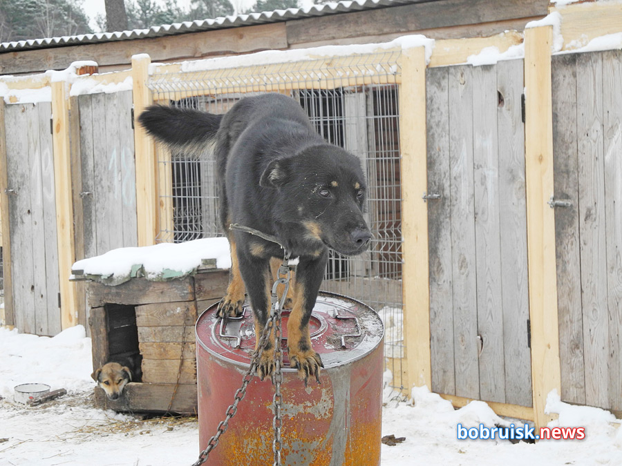 Добро для «Добродетели»