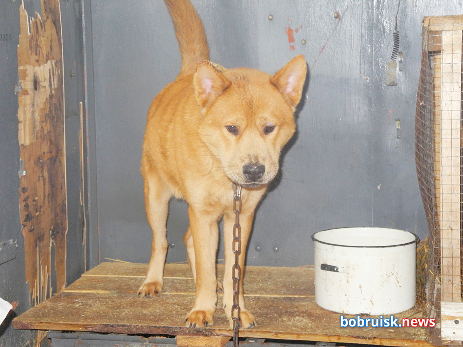 Добро для «Добродетели»