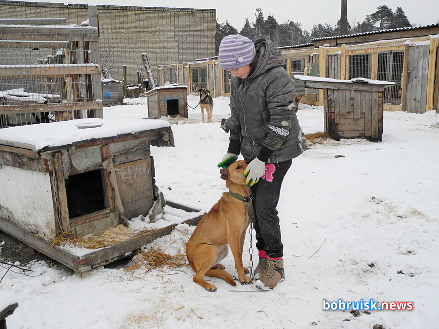 Добро для «Добродетели»