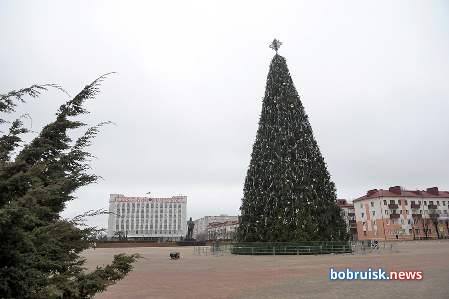 Ёлка на главной площади Бобруйска уже установлена!