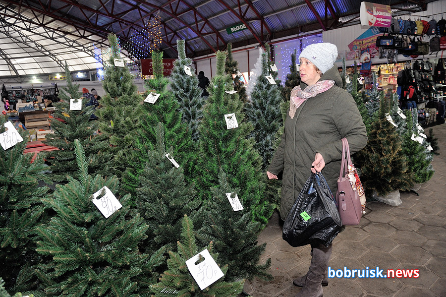 Елочные базары откроются уже на этой неделе
