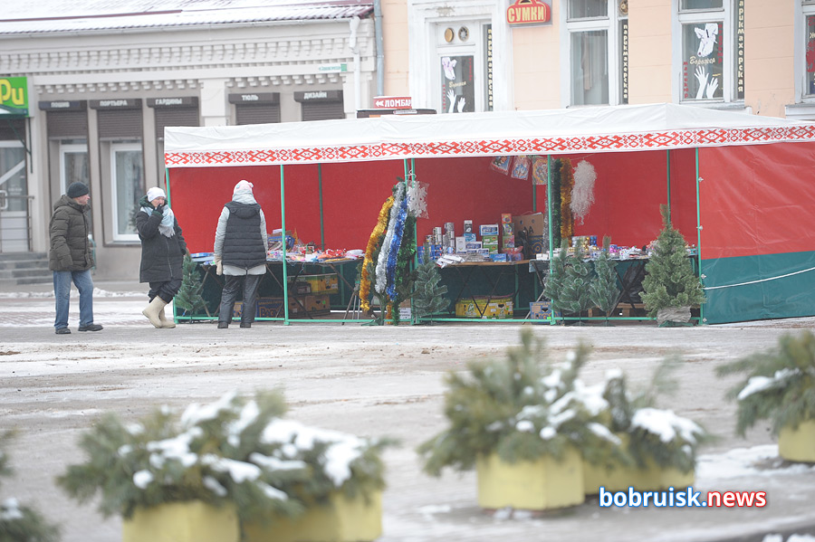 Елочные базары откроются уже на этой неделе