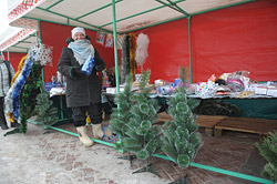 Елочные базары в Бобруйске откроются уже на этой неделе
