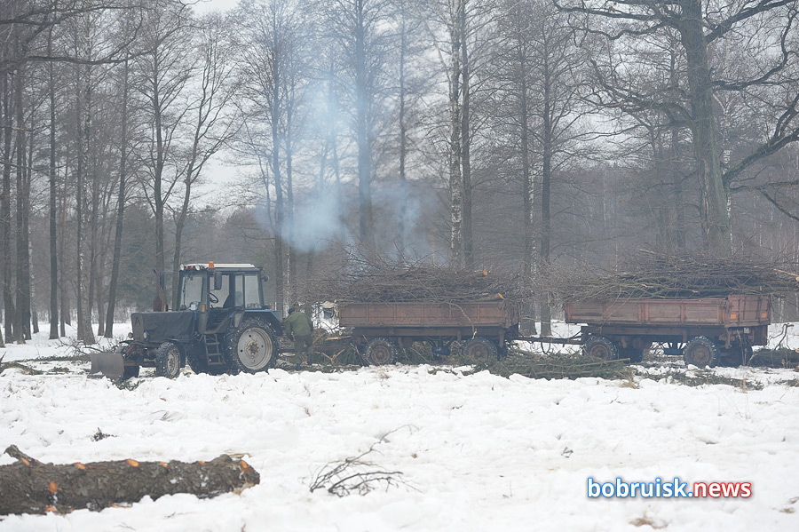 В Бобруйске появится новый район!