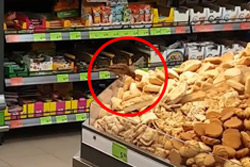 «Разбойное нападение» на печенье в бобруйском супермаркете